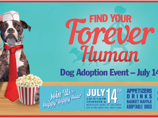 Dog Rescue Photo Illustration and Banner Design Popcorn